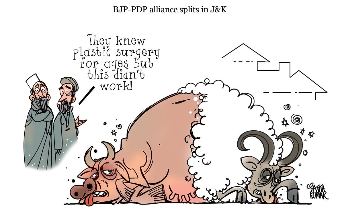 PDP
