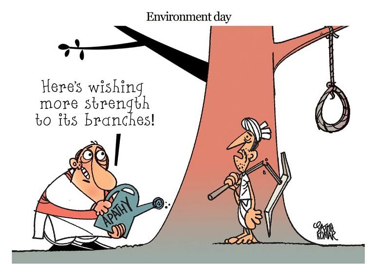 environment
