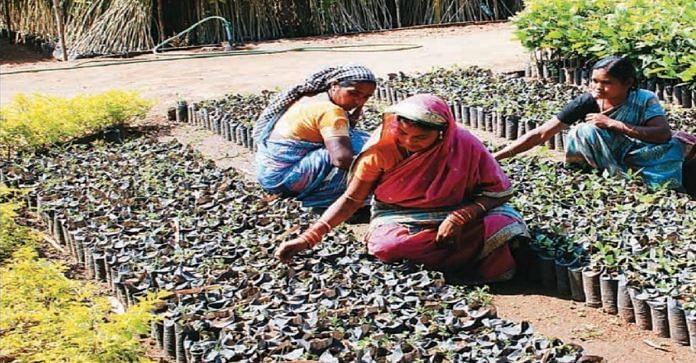 News on MGNREGA