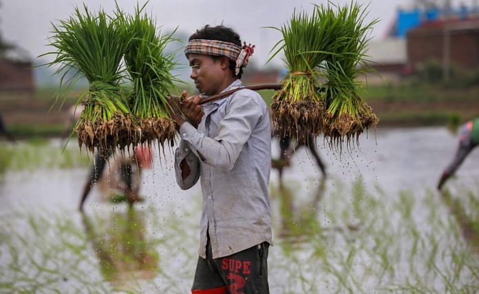 news on farmers and agrarian crisis
