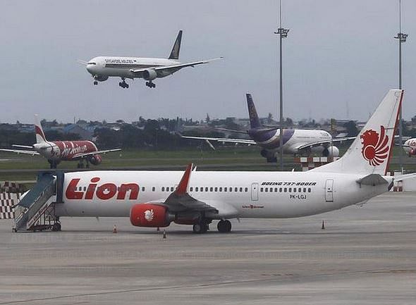 lion airlines ANI