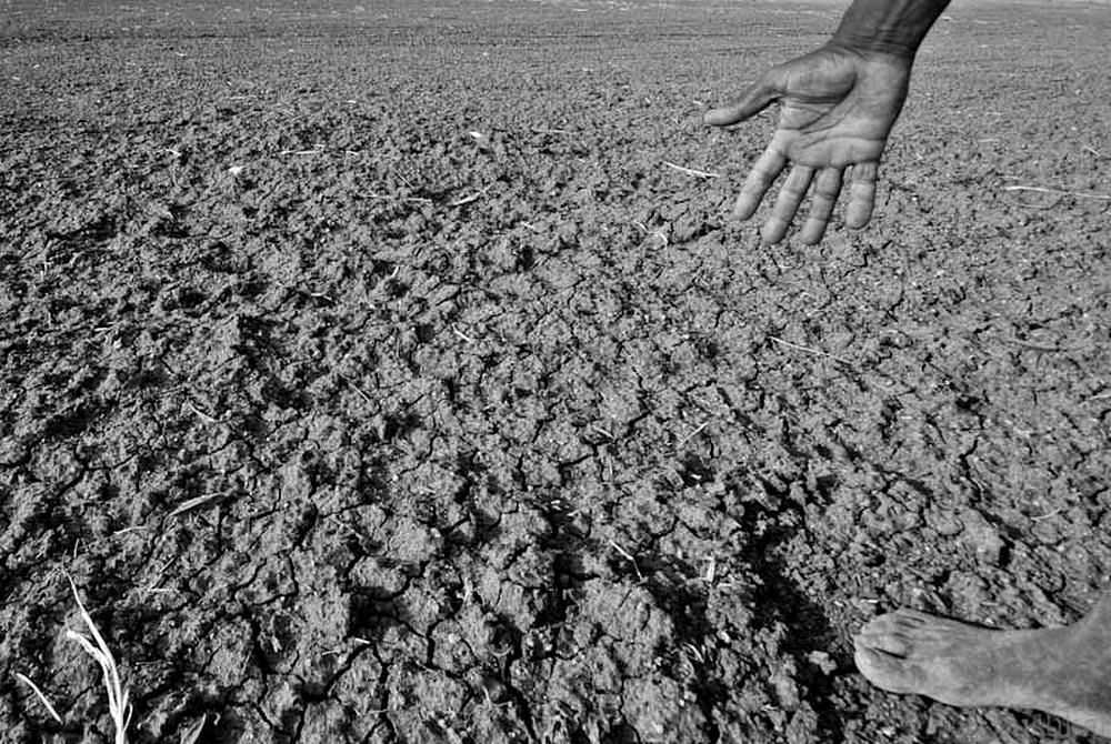 News on Drought