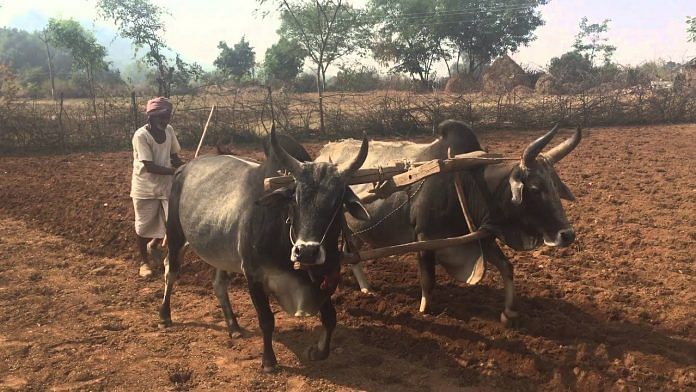 news on farmer's politics
