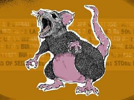 news on Rats
