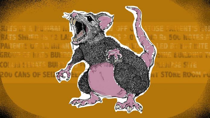 news on Rats