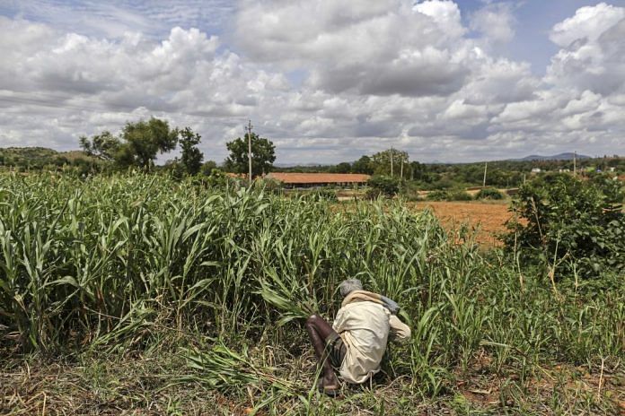 News on Farmer