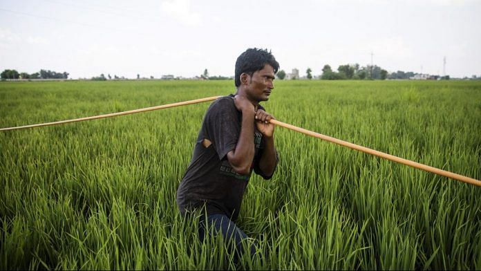 news on farmer