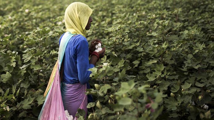 News on Farmer