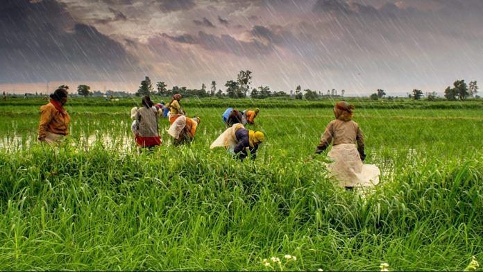 news on agriculture
