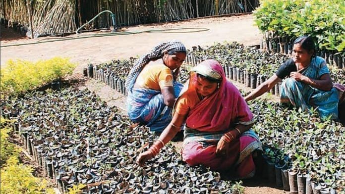 news on governance