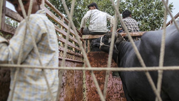 news on beef