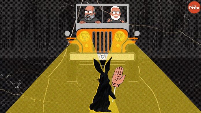bunny-and-the-jeep