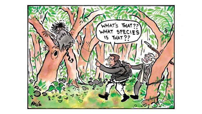 news on politics