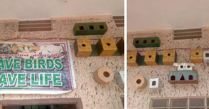 bird house
