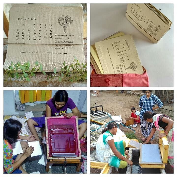seed calendar