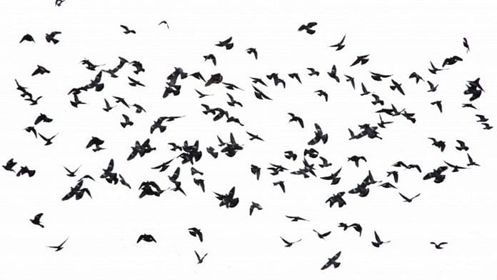 news on environment