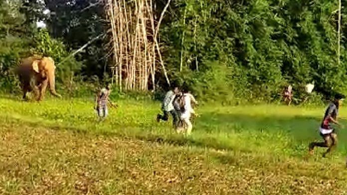 news on agriculture