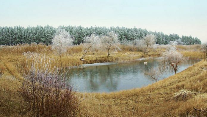 news on environment