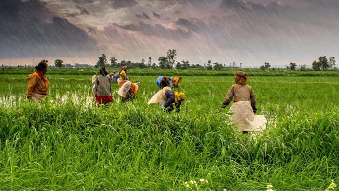 news on agriculture