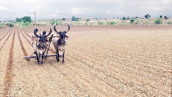 news on dalit and tribals