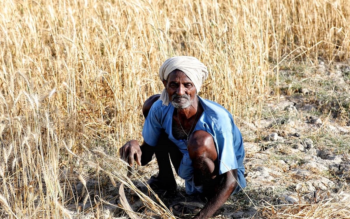 news on UP farmer