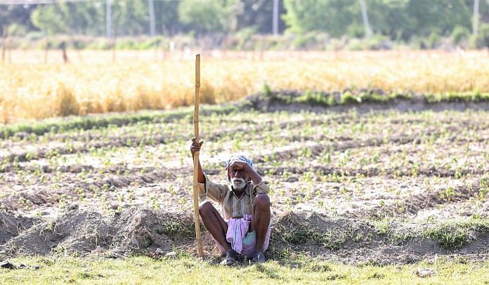 news on UP farmer