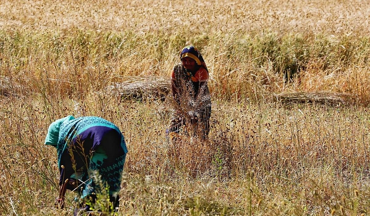 news on UP farmer