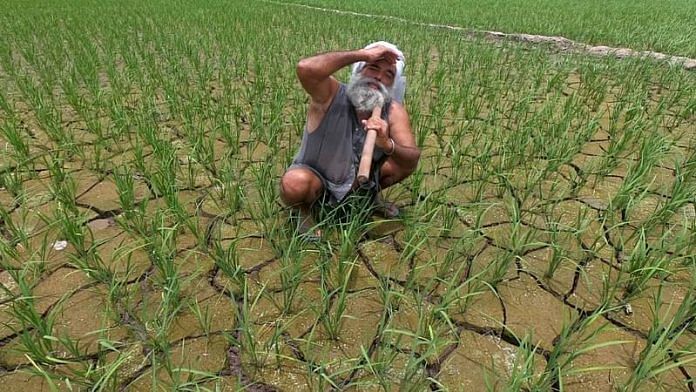 पटियाला का एक किसान | प्रतीकात्मक तस्वीर | एएनआई
