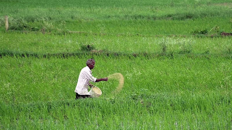 farmer fertilizer