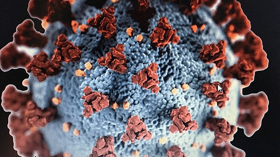 चीन में बढ़ते कोरोनावायरस के मामलों के पीछे कोई नया Covid-19 वैरिएंट सामने  नहीं आयाः स्टडी