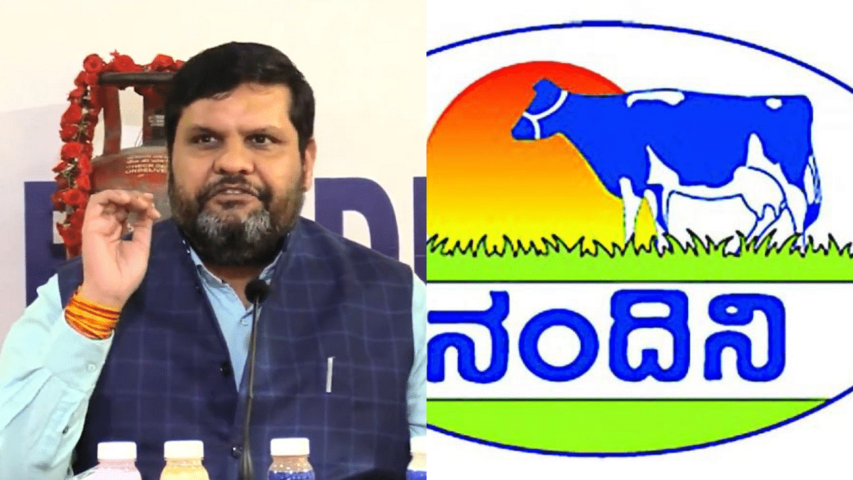 Latest News OnNandini Milk in Kannada, Videos & Photos - News18 ಕನ್ನಡ