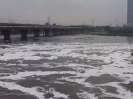 दिल्ली में यमुना नदी | ANI