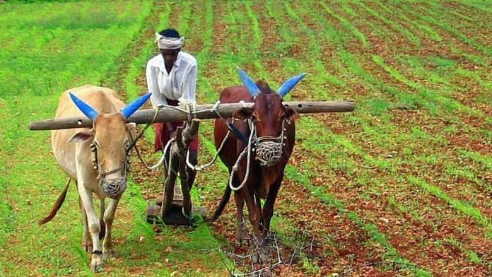 किसान की प्रतीकात्मक तस्वीर