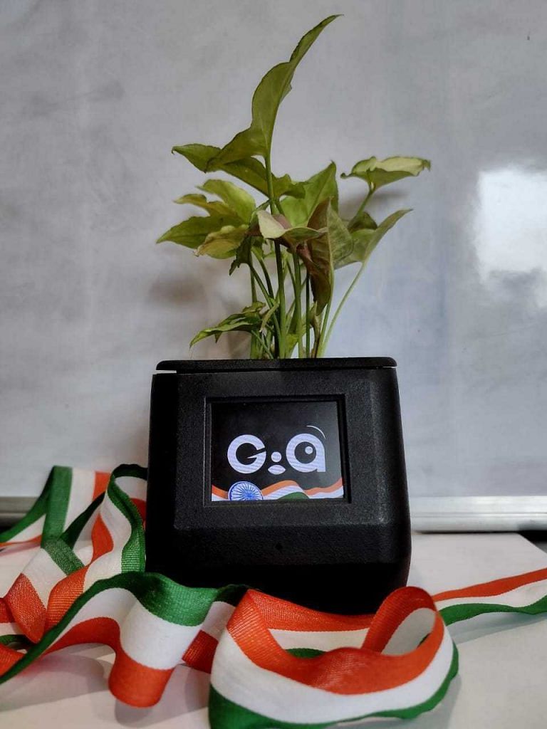 GIA को कस्टमाइज़ भी किया जा सकता है | फोटो: स्पेशल अरेंजमेंट