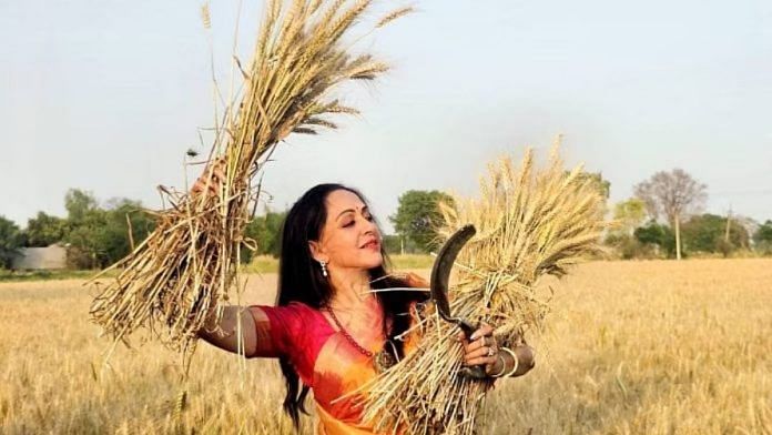 मथुरा के एक खेत में हेमा मालिनी | फोटो: एक्स/@dreamgirlhema