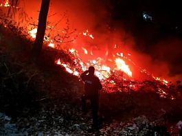 नैनीताल में शनिवार को हल्द्वानी रोड पर स्थित जंगल में भीषण आग लगने के बाद उठता धुआं और लपटें | फोटो: एएनआई