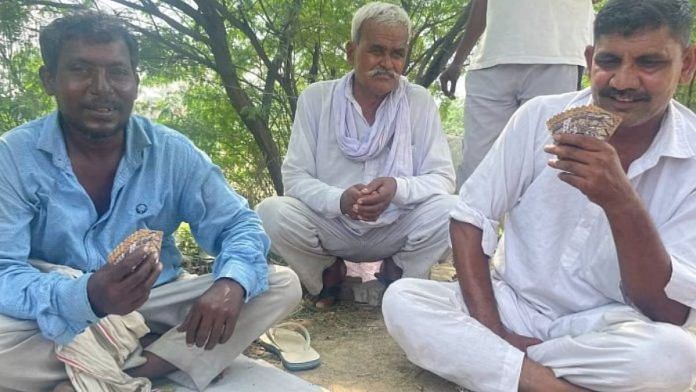 हरियाणा के कलानौर निर्वाचन क्षेत्र में दलित किसान वेदपाल अपने दोस्तों के साथ ताश खेलते हुए | फोटो: शंकर अर्निमेष/दिप्रिंट
