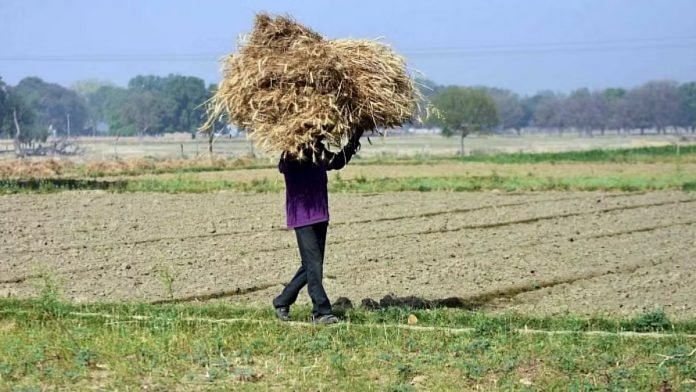 प्रतीकात्मक तस्वीर | एएनआई