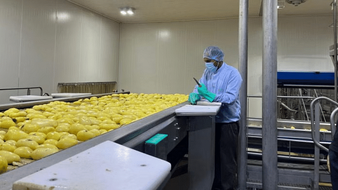 POTATO PROCESSING
