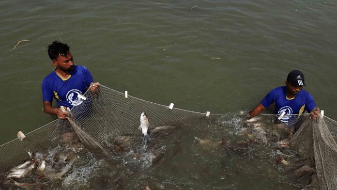 FISH